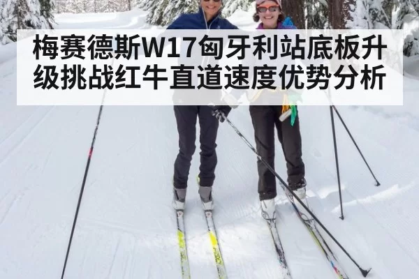 梅赛德斯W17匈牙利站底板升级挑战红牛直道速度优势分析